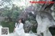 A woman in a white dress sitting on a rock by a pond.